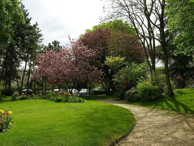 fleurs073